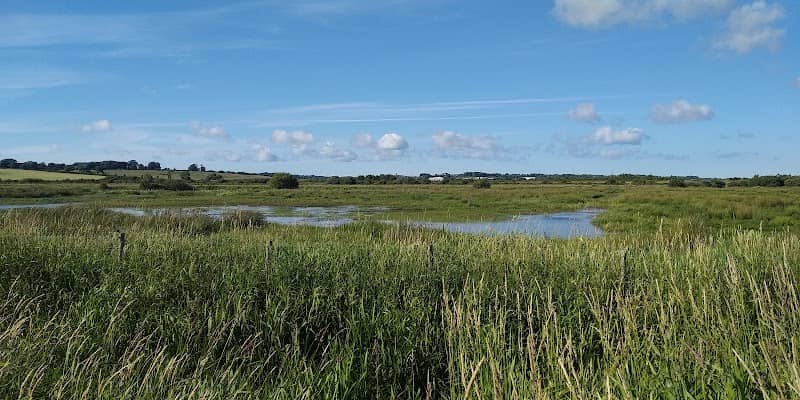 RSPB Cors Ddyga - Image 1