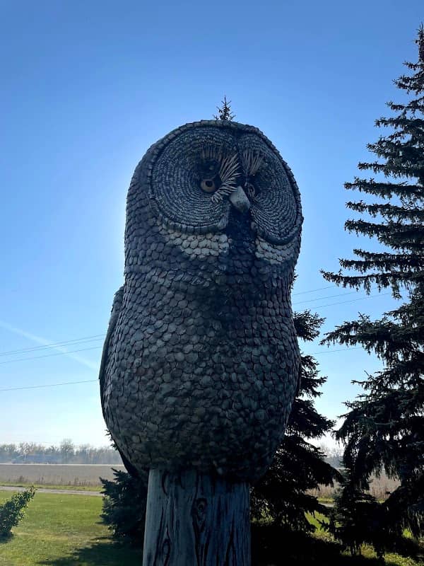 Canada's Largest Great Grey Owl - Image 1