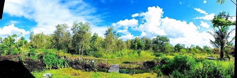 Mirip Bioma Sabana - Image 1