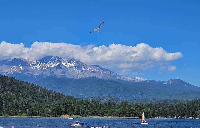 Lake Sis Beach Rentals - Image 1