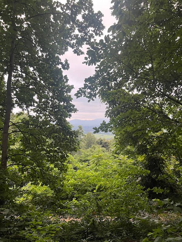 Scenic Overlook - Image 1