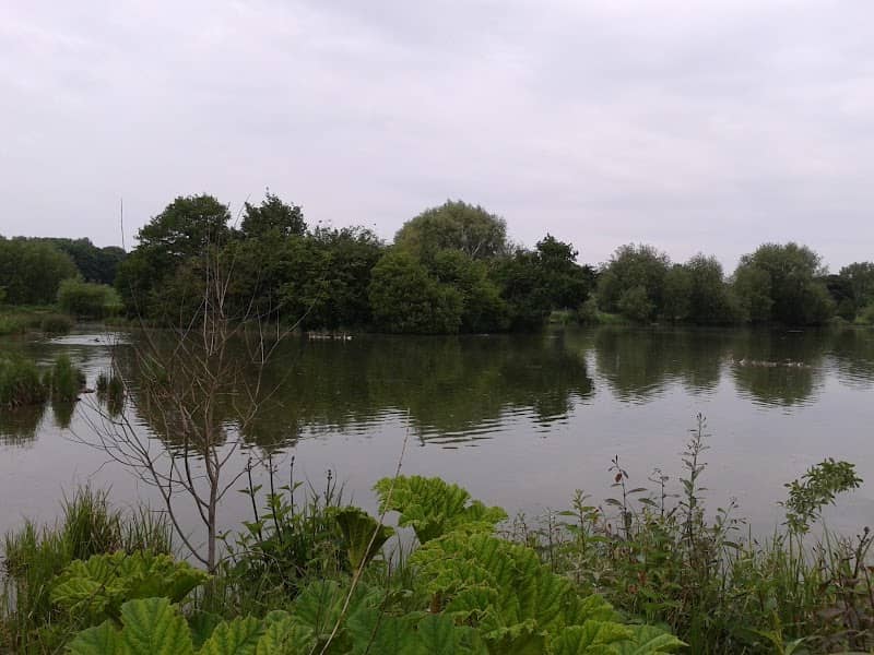 Burton Island - Image 1