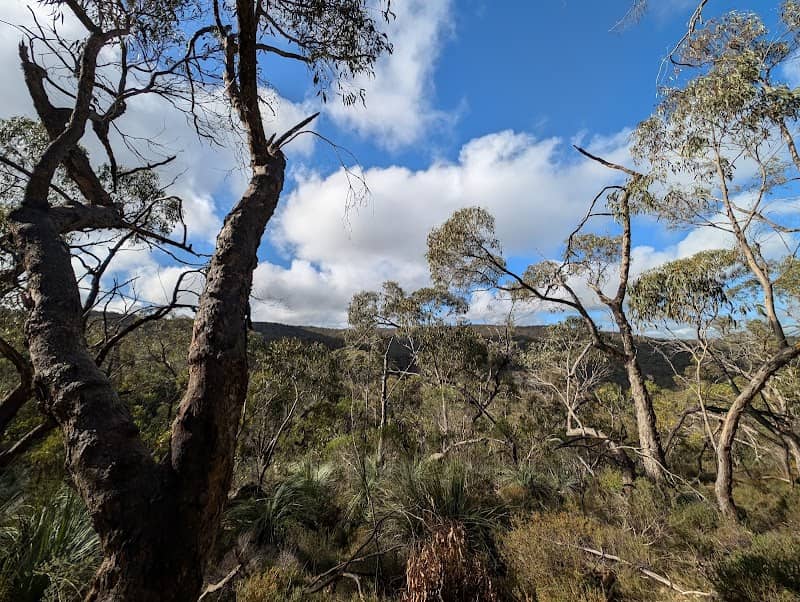 Warren Conservation Park - Image 1