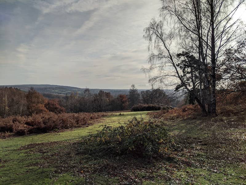 Chinthurst Hill - Image 1