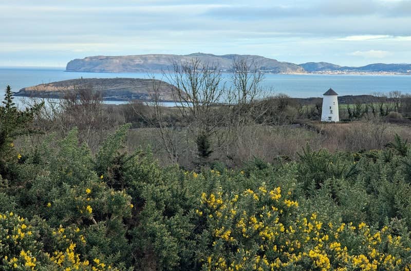Mariandyrys North Wales Wildlife Trust nature reserve - Image 1