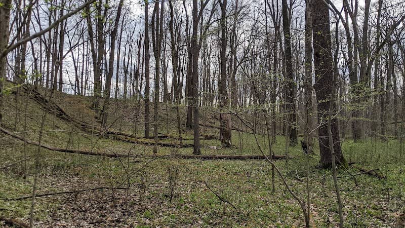 Parkersburg Wildlife Area - Image 1