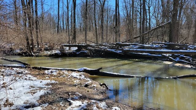 Parkersburg Wildlife Area - Image 1