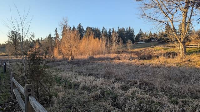 Riverside Park - Image 2