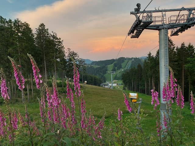 Sürenberg Bergstation - Image 1