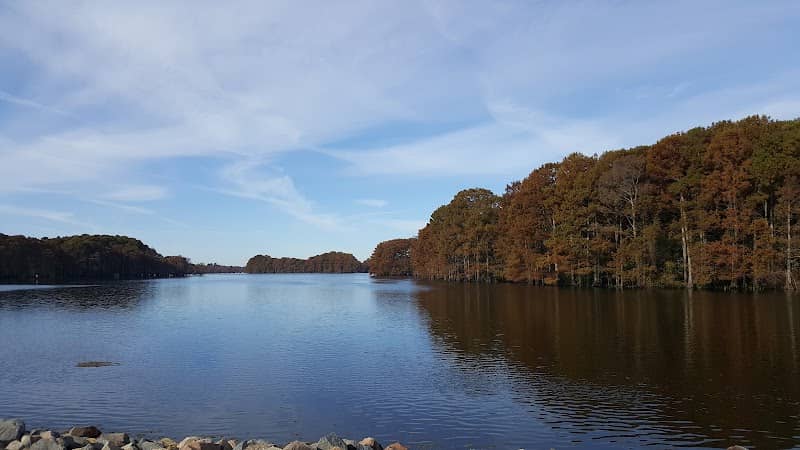 Horace M. Downs Park - Image 2