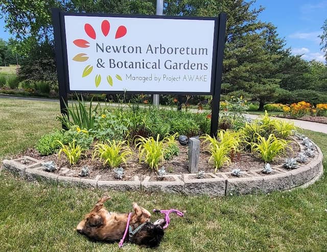 Newton Arboretum & Botanical Gardens - Image 1
