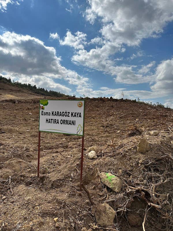 Esma Kaya Hatıra Ormanı - Image 1