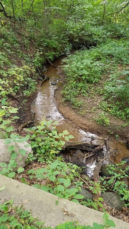Rum River Park Trails - Image 2