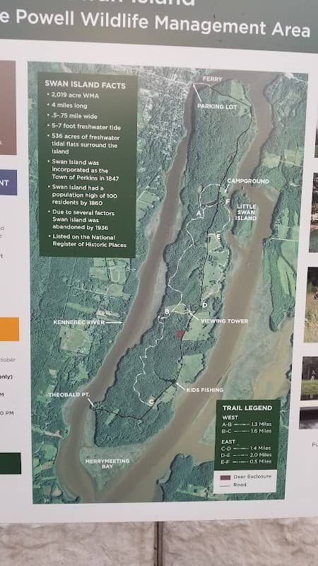 Swan Island - Image 1
