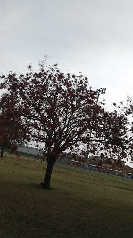 Groves Park - Image 2
