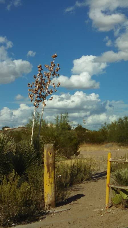 Roadrunner Circle Trailhead - Image 1