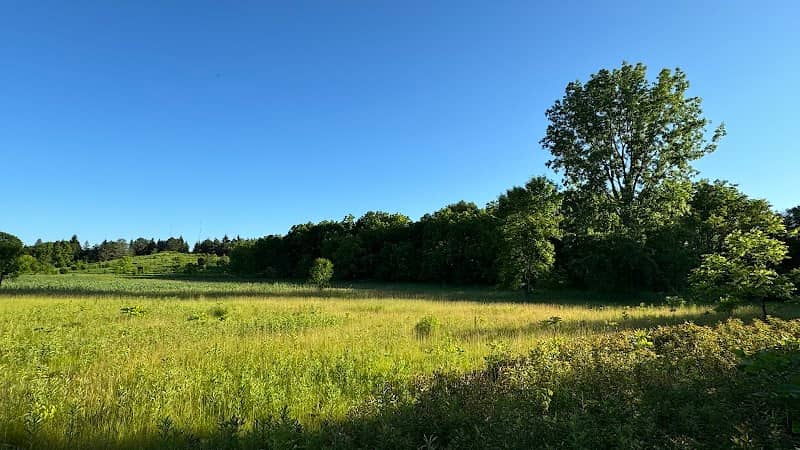 Kletzsch Park Bog Loop Trail - Image 2