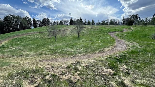 Kletzsch Park Bog Loop Trail - Image 1
