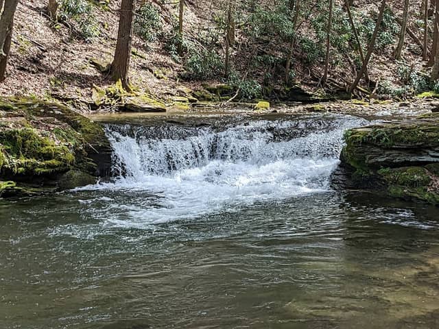 Quehanna Wild Area - Image 2