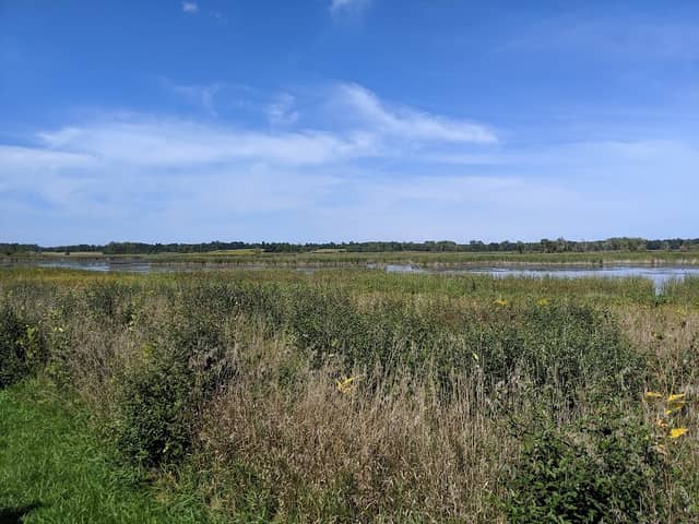 Cayuga Marsh Overlook - Image 1