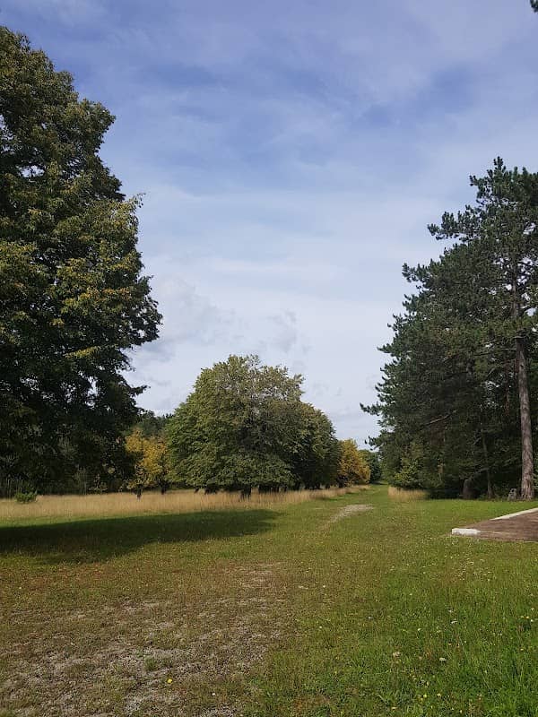 Naturdenkmal Lindenhain - Image 1