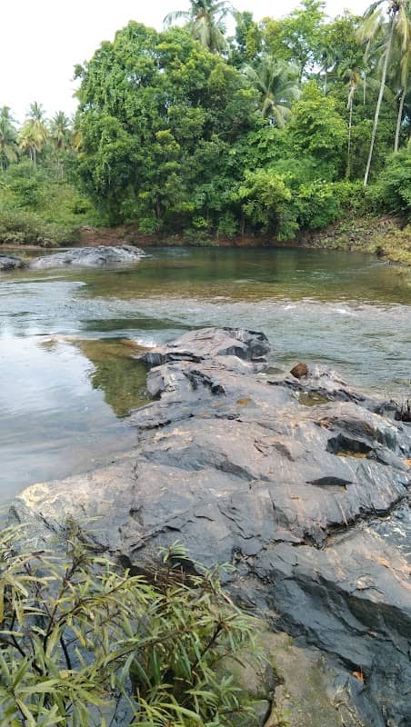 Puzhamula swimming area - Image 1