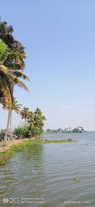 House Boat Service Alappuzha - Image 2