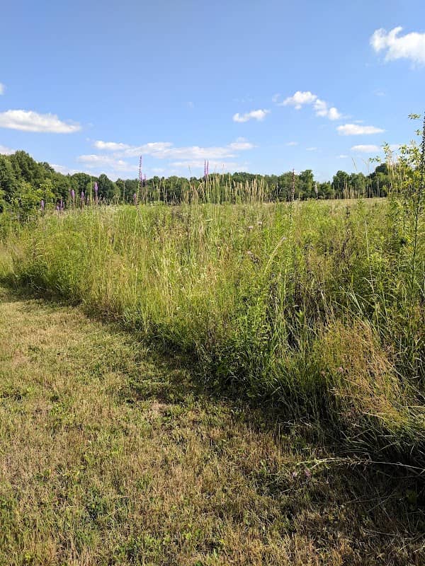 Fairlawn Park - Image 1
