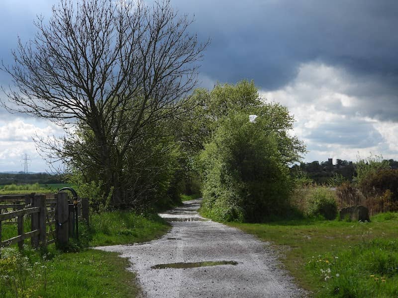 RSPB Adwick Washland - Dearne Valley - Nature Reserve - Image 2