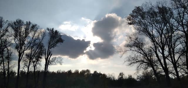 Bill Baltrusch Nature Trail - Image 2