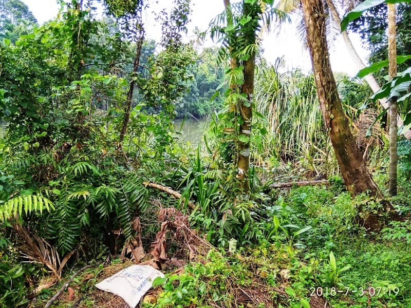 Varma's Retreat - Image 1