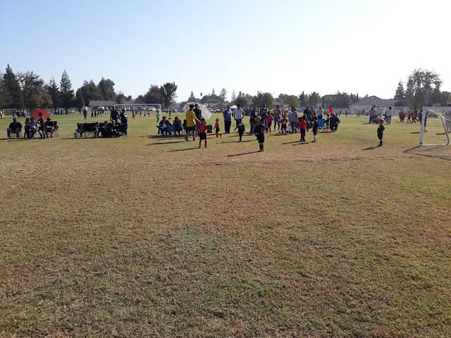 Lions Park - Image 2