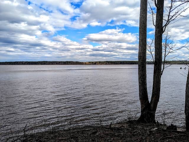 Hereford road MST trailhead - Image 1