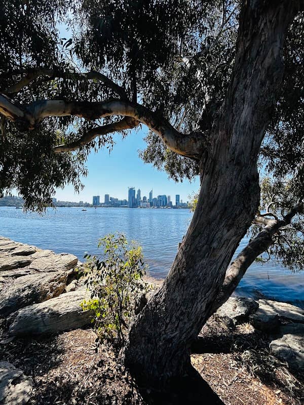 South Perth Foreshore - Image 2