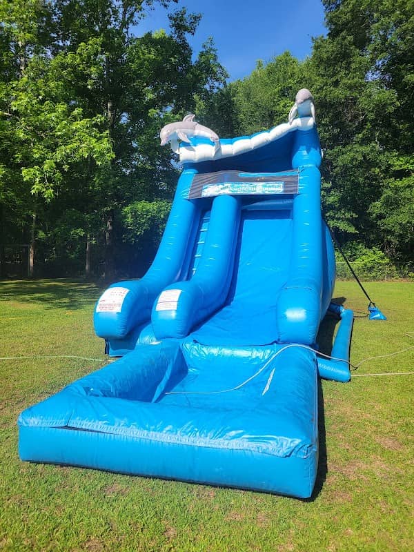 Bizzy Bouncin - Image 1