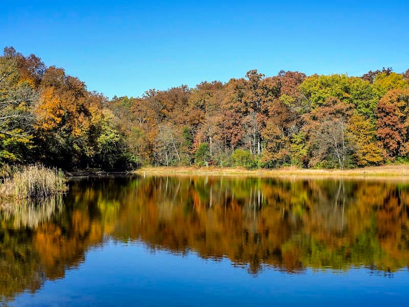 Bismarck Conservation Area carl disalso lake - Image 2