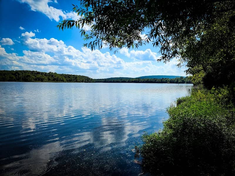 Bismarck Conservation Area carl disalso lake - Image 1