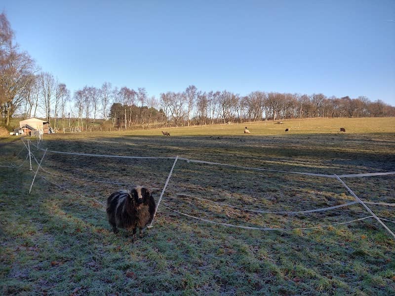 Old Garswood Park - Image 2