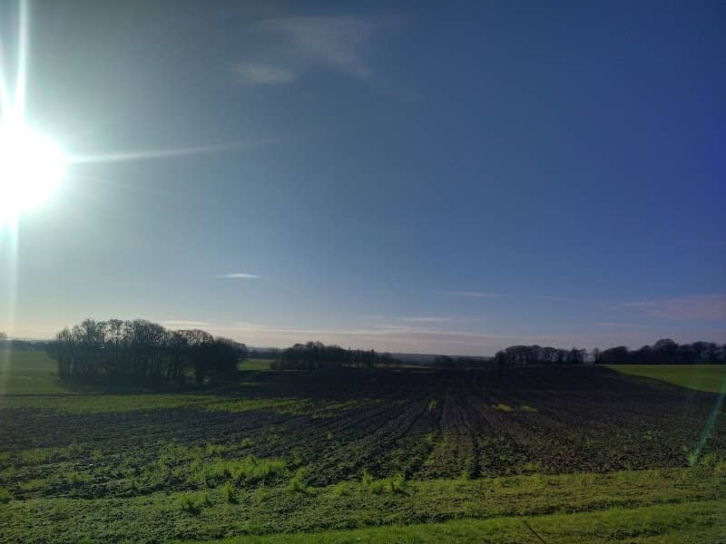 Old Garswood Park - Image 1