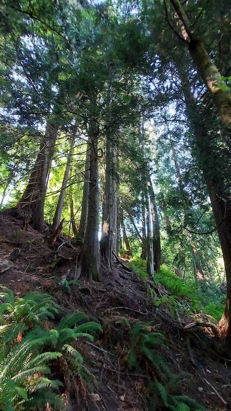 Sunriver Nature Trail - Image 2