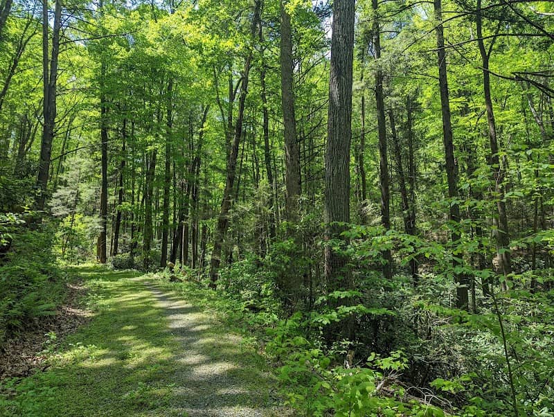 Red Fox Trail - Image 1