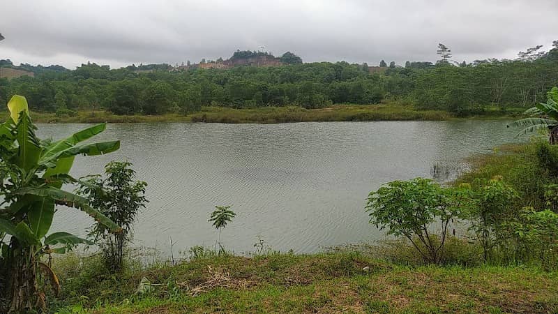 Danau H. Sarjan - Image 1