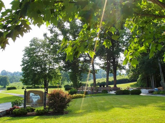 Daniel Vineyards - Image 2