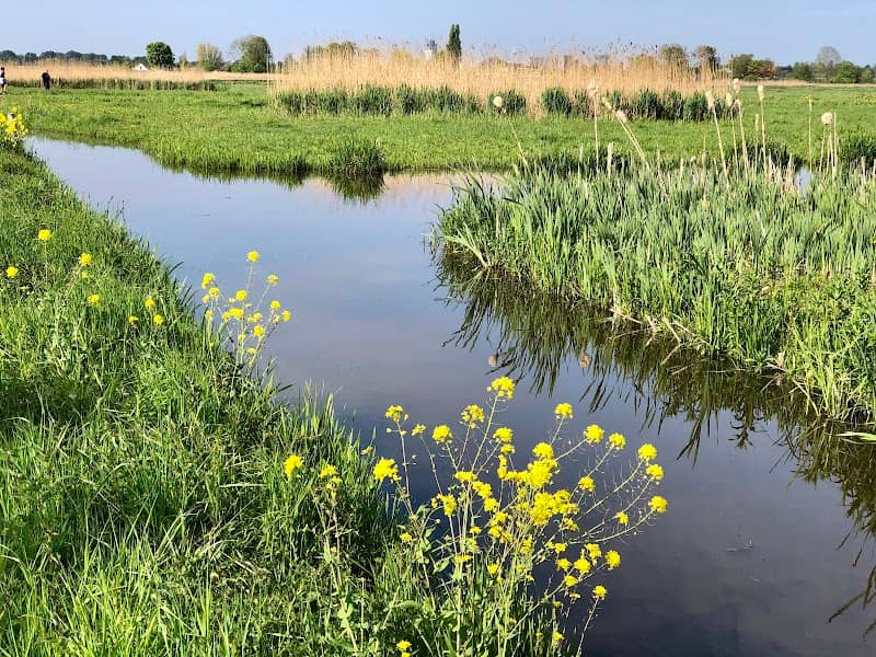 Middelpolder - Image 1