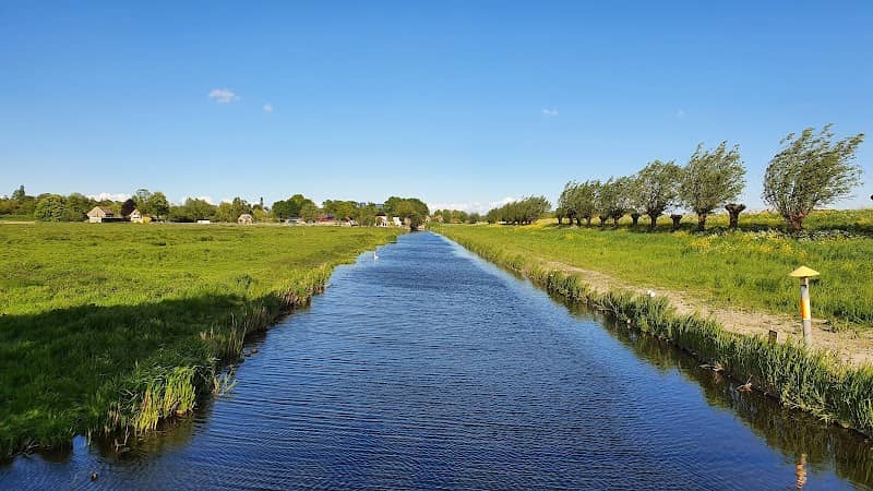 Middelpolder - Image 2