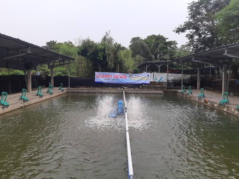Pemancingan Mutiara Fishing - Image 3