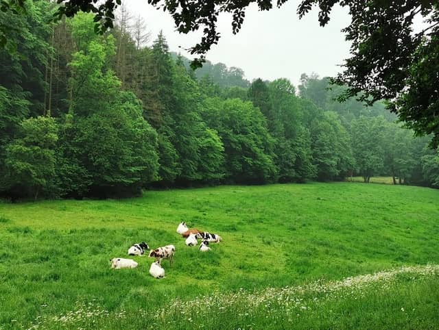 Walterbachtal - Image 1