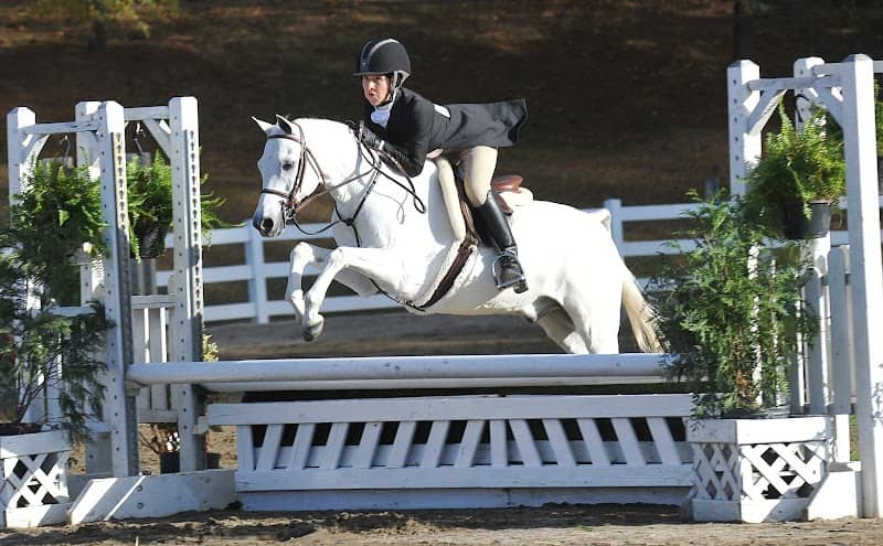 Pleasant Oaks Equestrian Center llc - Image 1