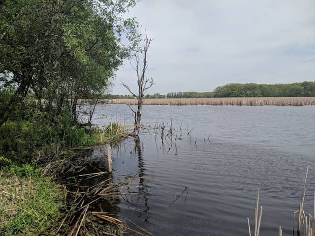Exner Marsh Conservation Area - Image 2