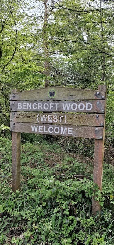 Broxbourne Woods - Image 2